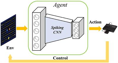 Solving the spike feature information vanishing problem in spiking deep Q network with potential based normalization